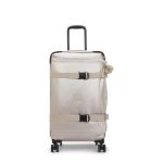 Spontaneous Medium Rolling Luggage